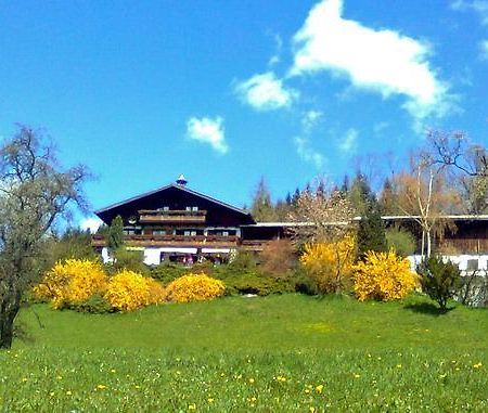 Biohof Schwanser Steinbach am Attersee Esterno foto