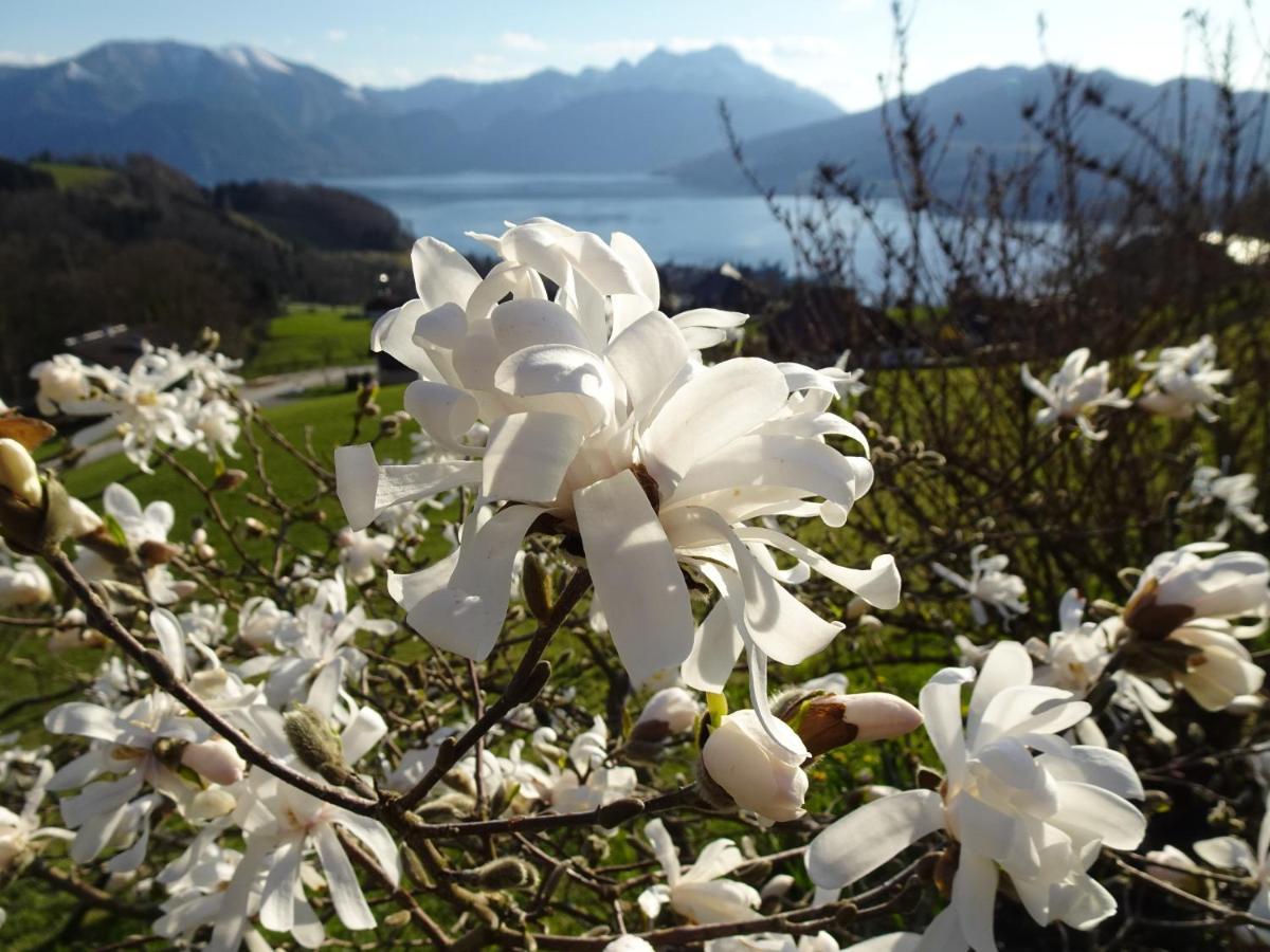 Biohof Schwanser Steinbach am Attersee Esterno foto