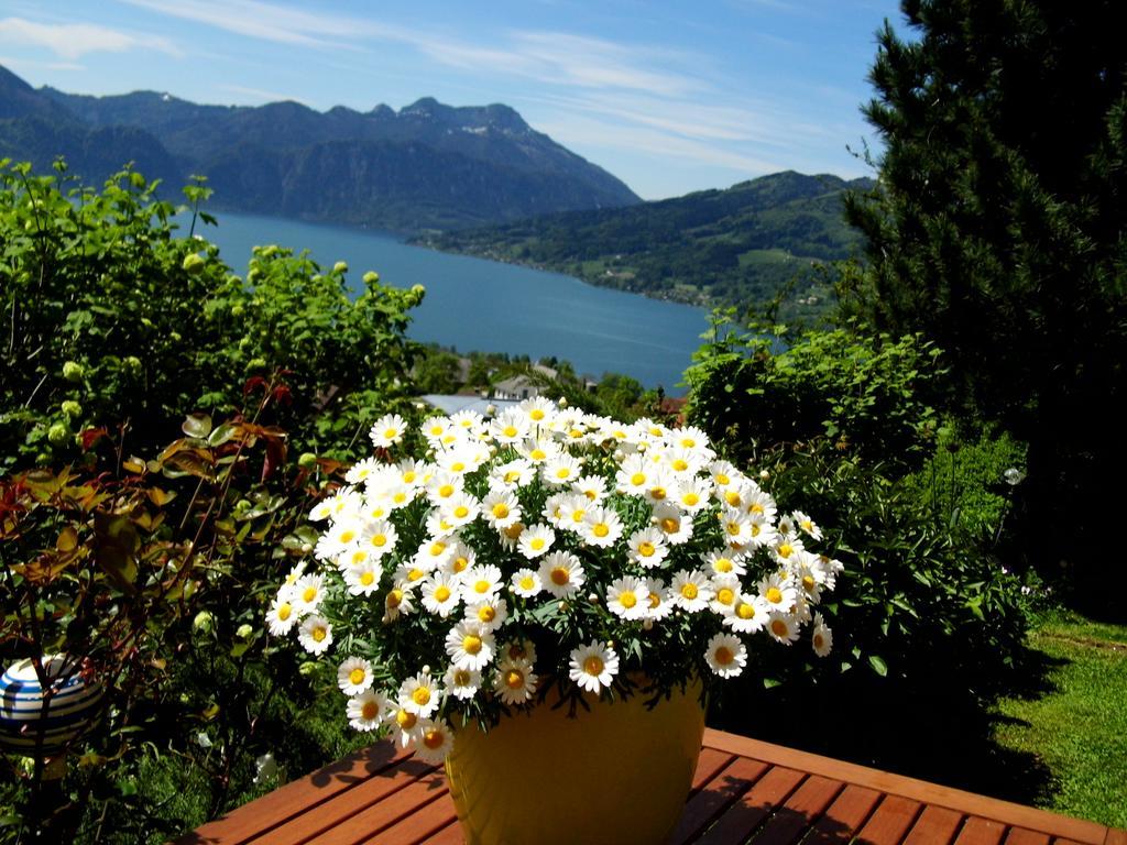 Biohof Schwanser Steinbach am Attersee Esterno foto