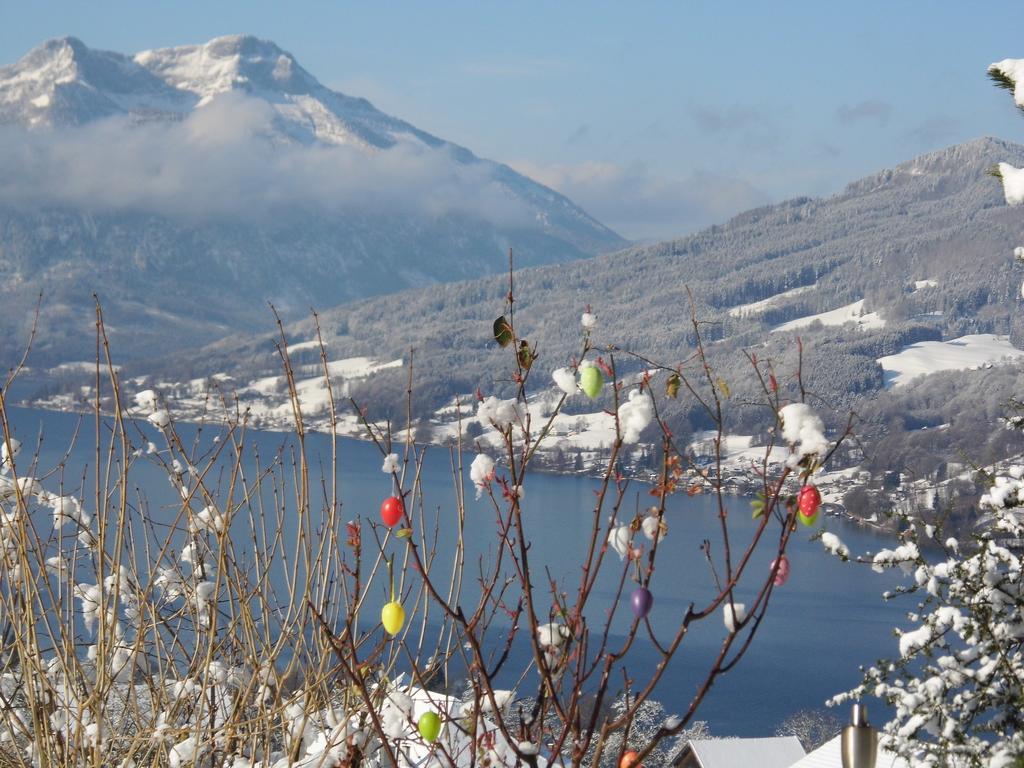 Biohof Schwanser Steinbach am Attersee Esterno foto