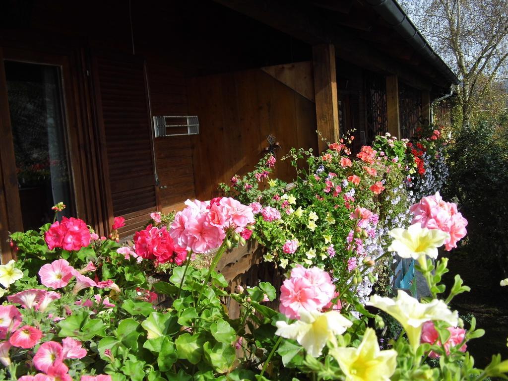 Biohof Schwanser Steinbach am Attersee Esterno foto