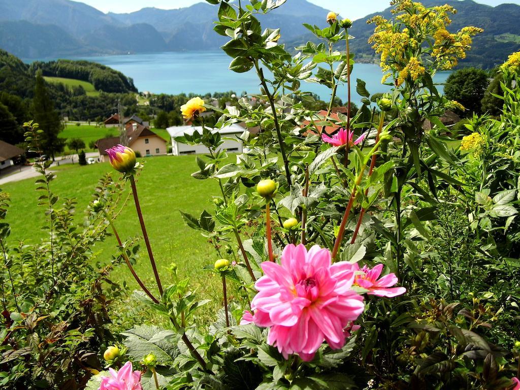 Biohof Schwanser Steinbach am Attersee Esterno foto