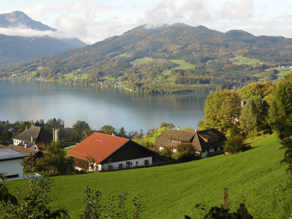 Biohof Schwanser Steinbach am Attersee Esterno foto