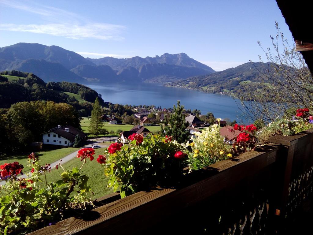 Biohof Schwanser Steinbach am Attersee Esterno foto