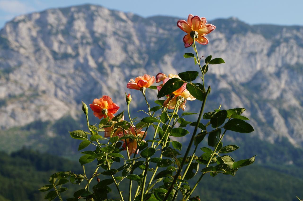 Biohof Schwanser Steinbach am Attersee Esterno foto