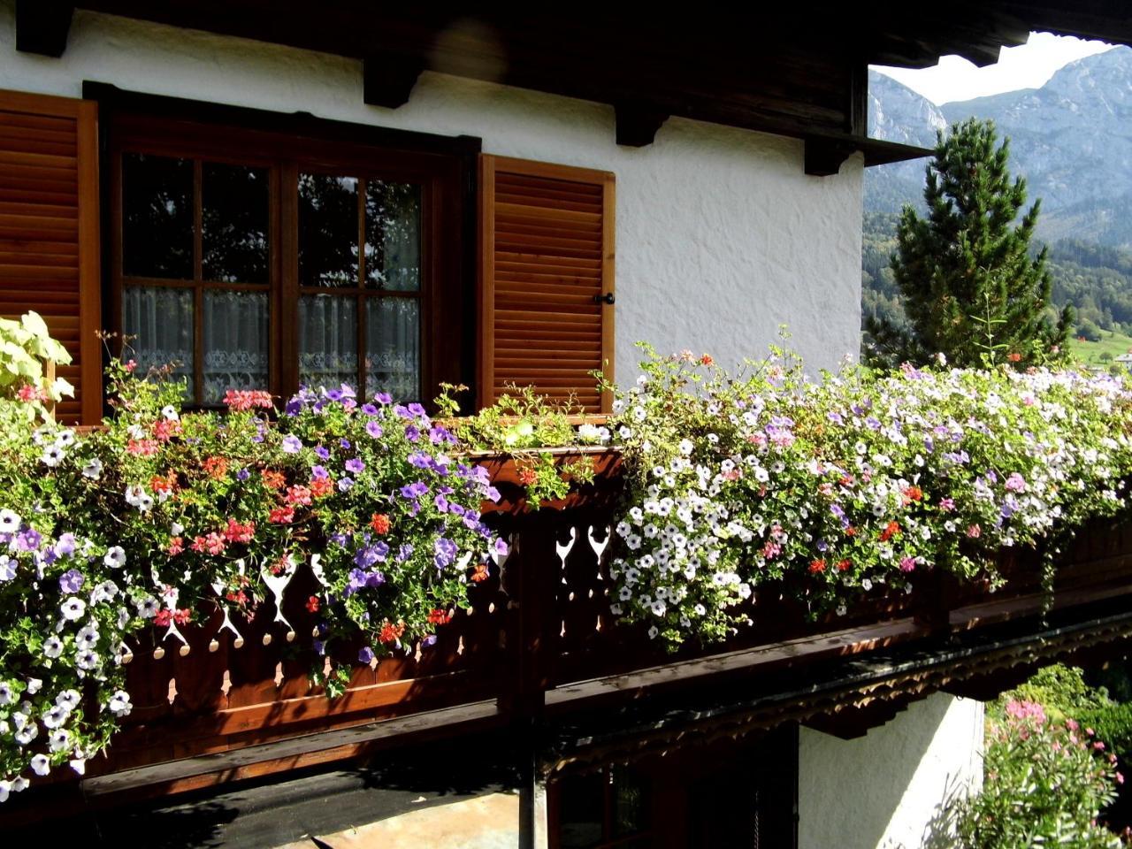 Biohof Schwanser Steinbach am Attersee Esterno foto