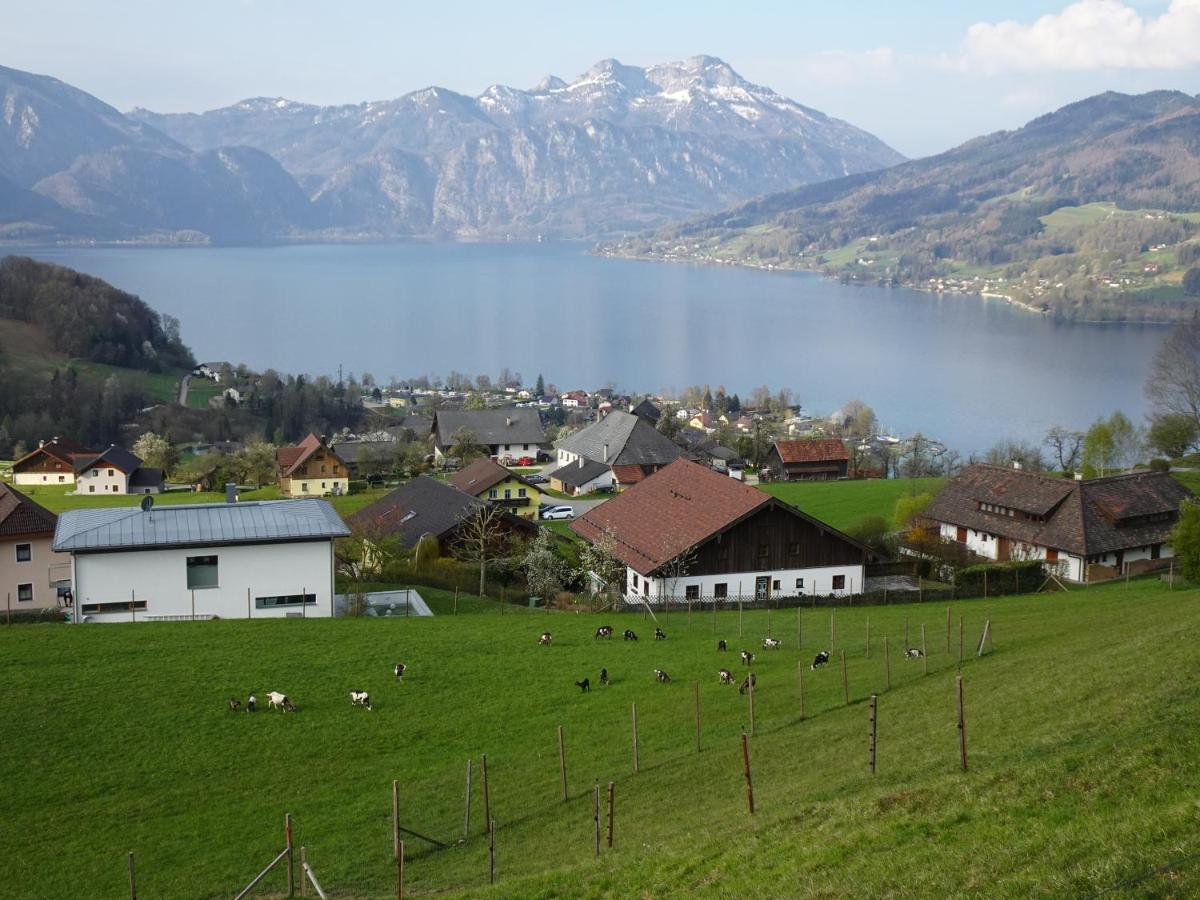 Biohof Schwanser Steinbach am Attersee Esterno foto