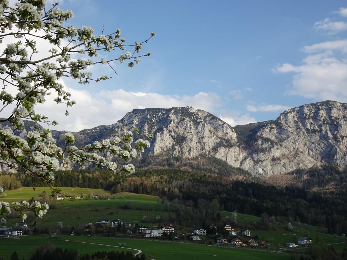 Biohof Schwanser Steinbach am Attersee Esterno foto